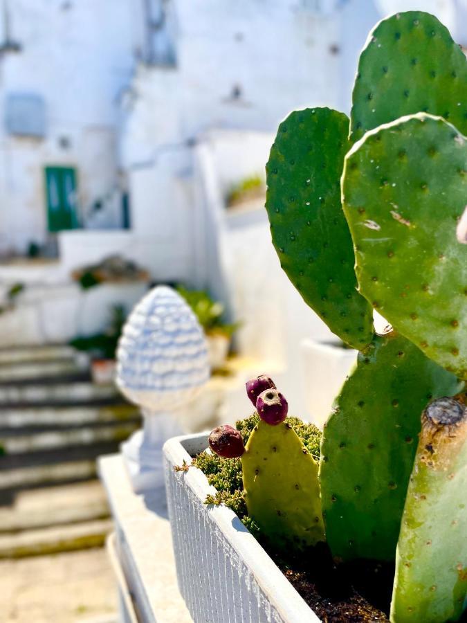Belle Home Ostuni Vasca Vista Mare Exterior photo